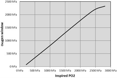 Static Metabolic Bubbles as Precursors of Vascular Gas Emboli During Divers’ Decompression: A Hypothesis Explaining Bubbling Variability